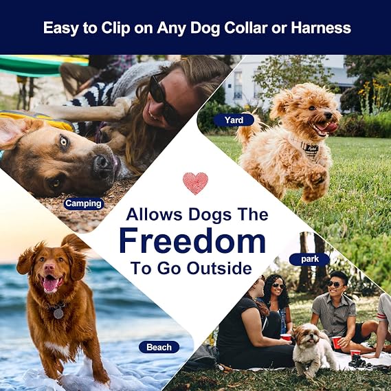 Dog Leads for Yard, 100ft Tie Out Runner Steel Wire Cable, Heavy Duty Pet Tether Chains for Dogs Up to 130 Lbs, Outside, Camping, Park (100ft-Blue)