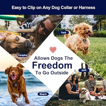 Dog Leads for Yard, 100ft Tie Out Runner Steel Wire Cable, Heavy Duty Pet Tether Chains for Dogs Up to 130 Lbs, Outside, Camping, Park (100ft-Blue)