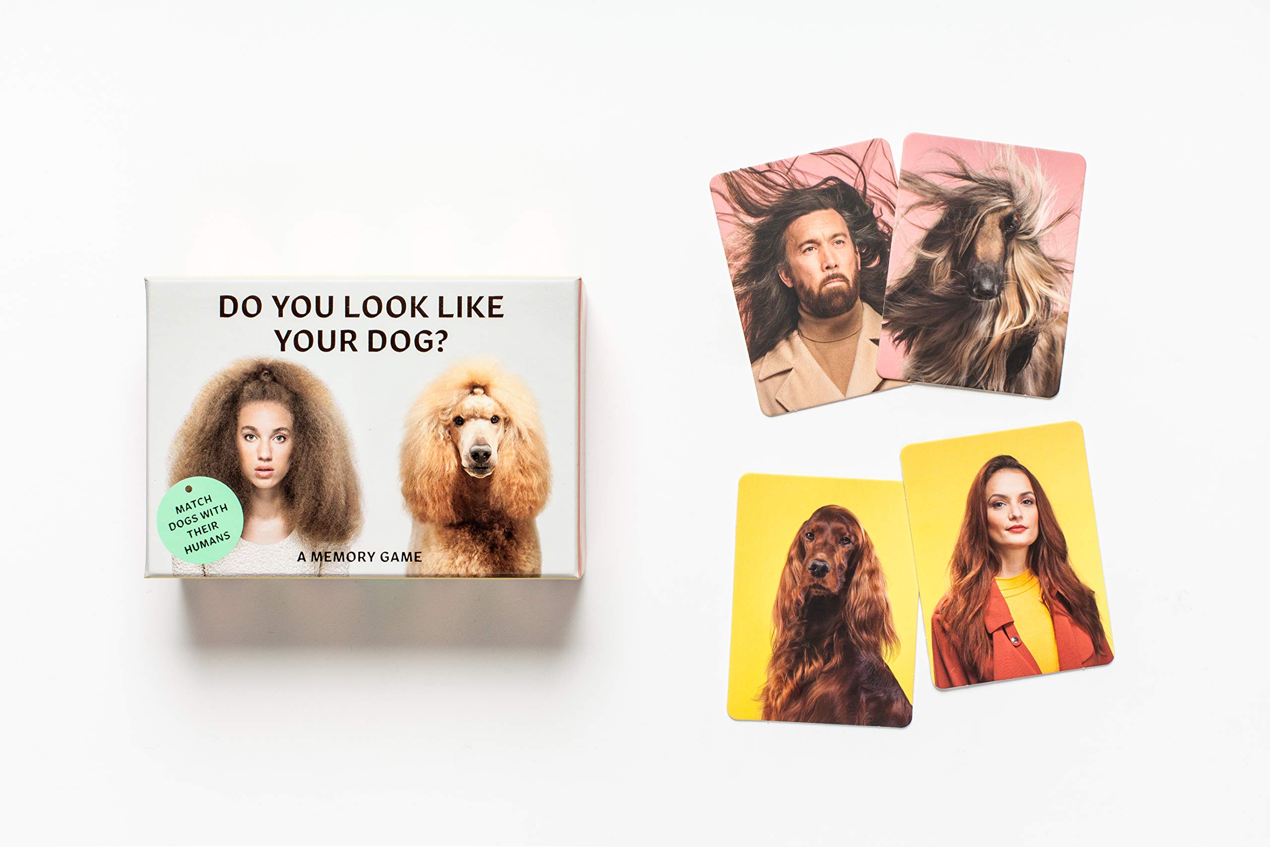 What Do Humans Look Like To Dogs