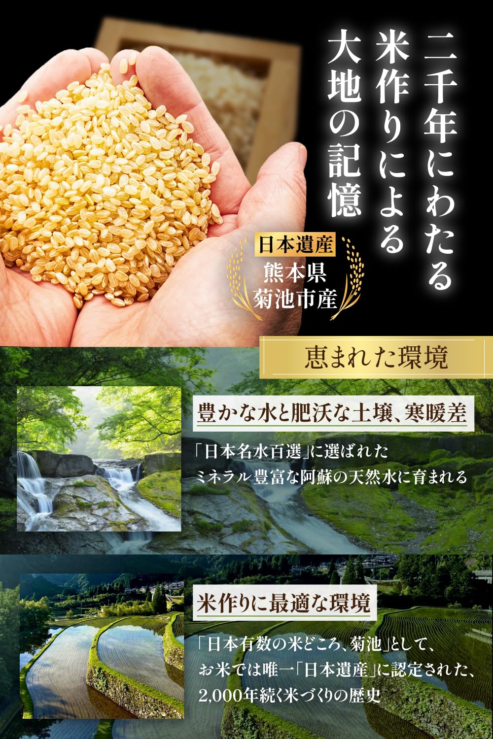 Amazon.co.jp: 【熊本県産・阿蘇の天然水育ち】 令和7年産 玄米 5kg