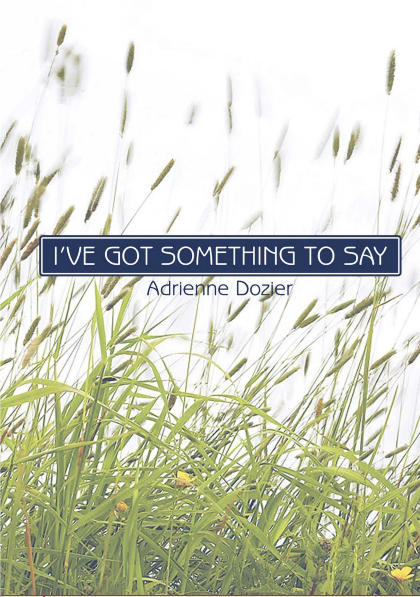 I've Got Something to Say