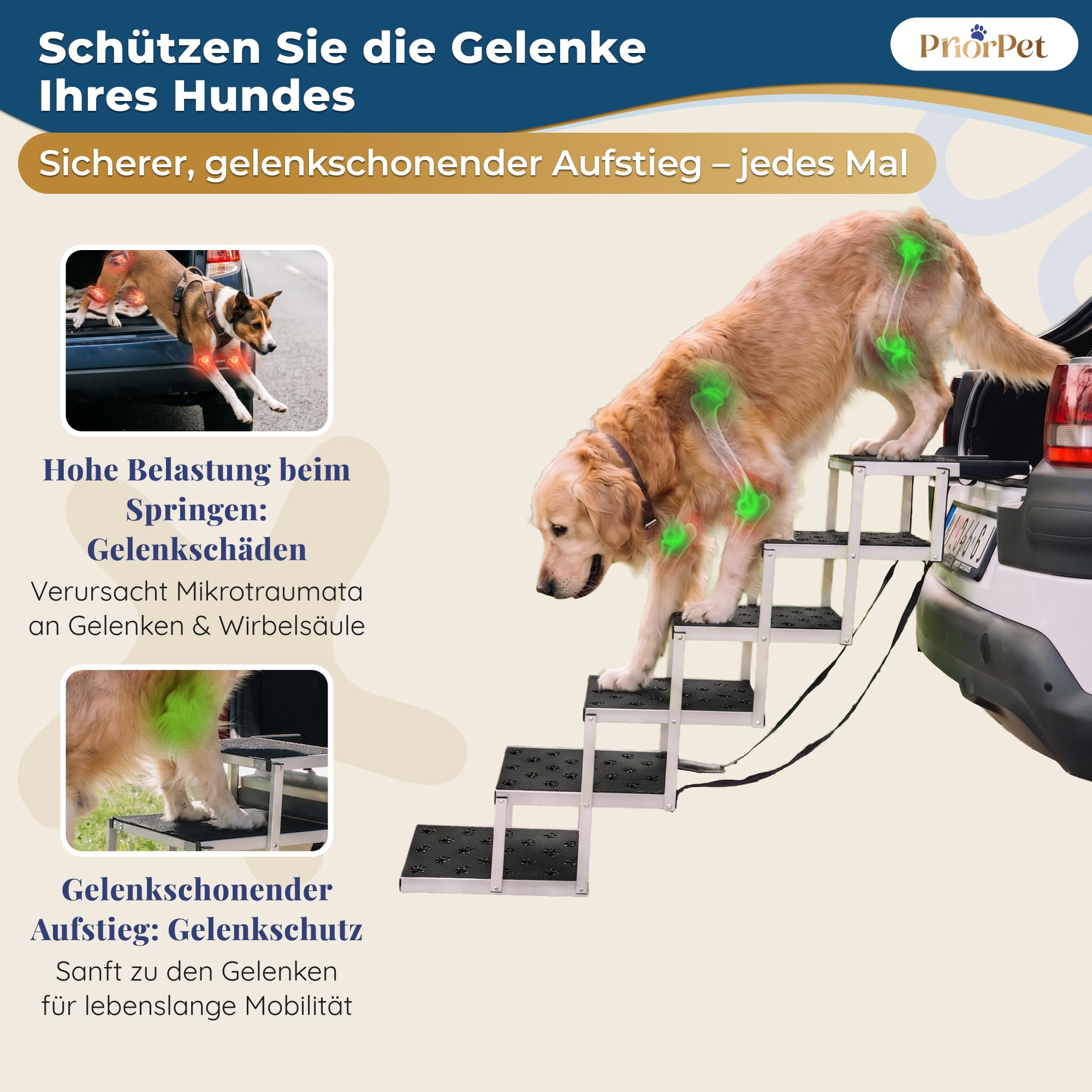 Hundetreppe Auto Klappbar – 4, 5 oder 6 Stufen für niedrige bis hohe Kofferraumhöhen (63–81 cm) – Für Kleinwagen, Kombi & SUV – Einstiegshilfe für große Hunde ohne Springen, Alternative zur Hunderampe