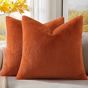Pallene Faux Fur Plush Fall Throw Pillow Covers 20x20 Set of 2, Soft Fluffy Couch Pillow Covers for Living Room, Rust