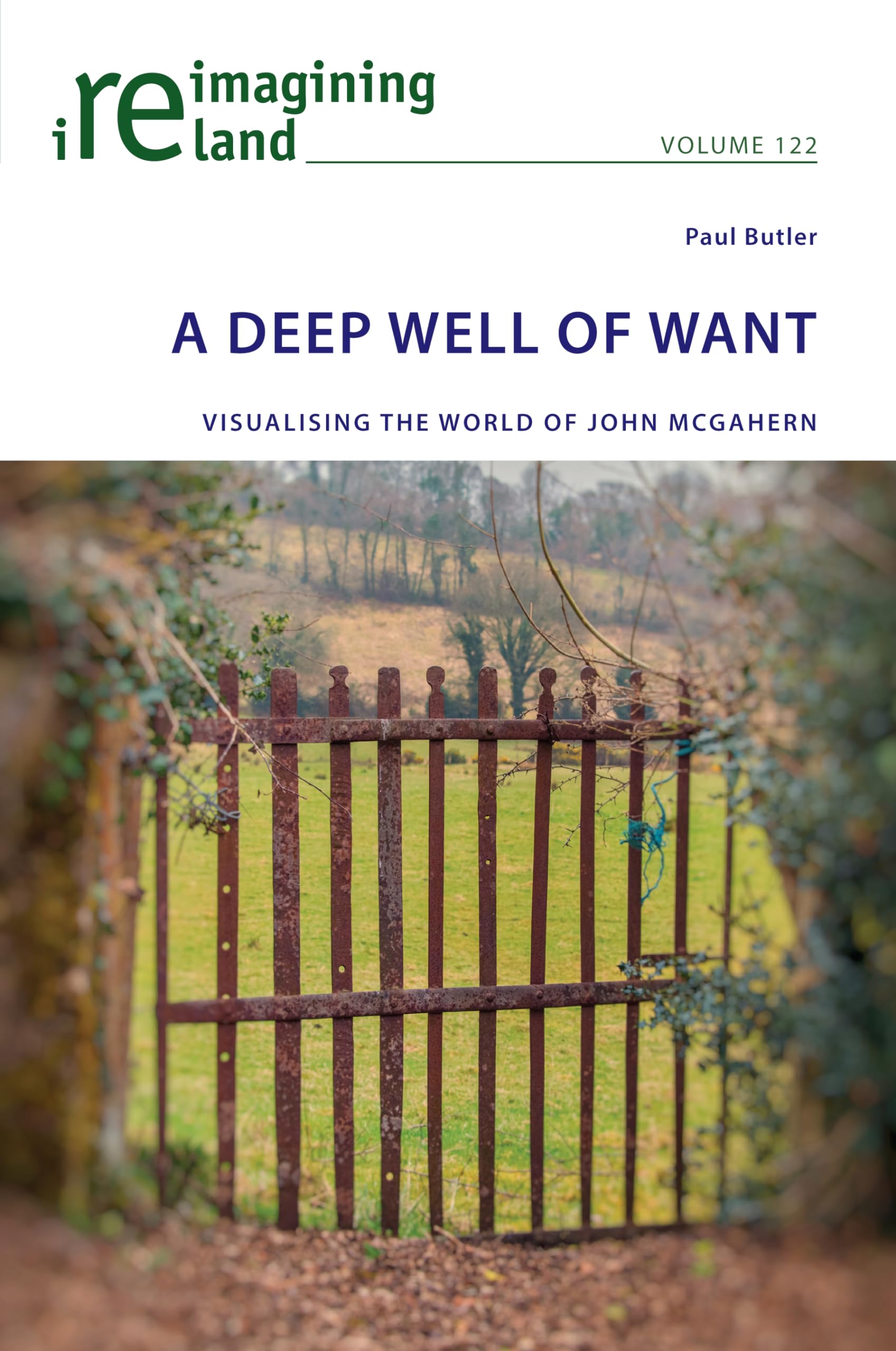 A Deep Well of Want by Eamon Maher, Paul Butler - 9781800798106
