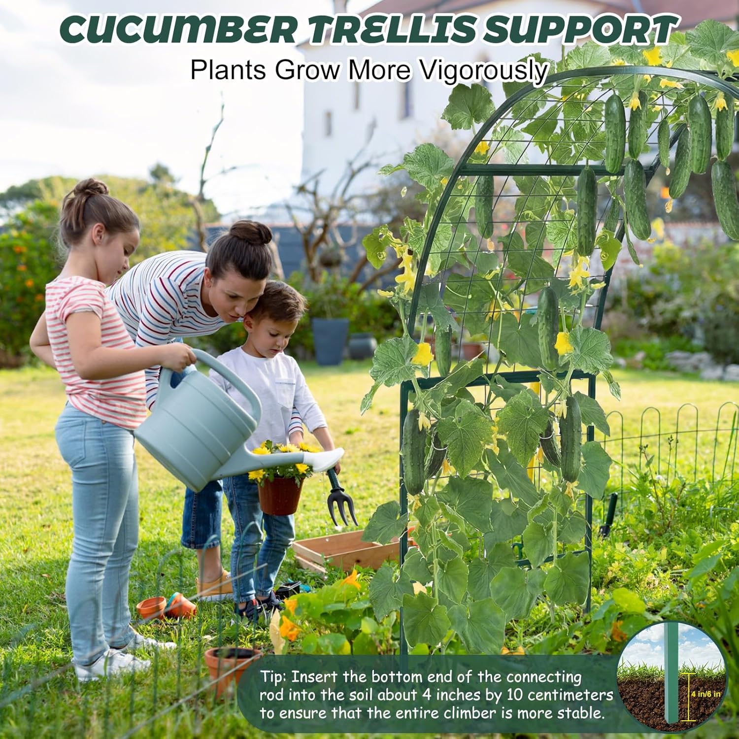 Arch Trellis for Planter Box Garden Wide Arbor Trellis Metal Arbor for Climbing Plants, Vegetables and Flowers Decorative Outdoor(Green,6 x 2 x 6 ft)