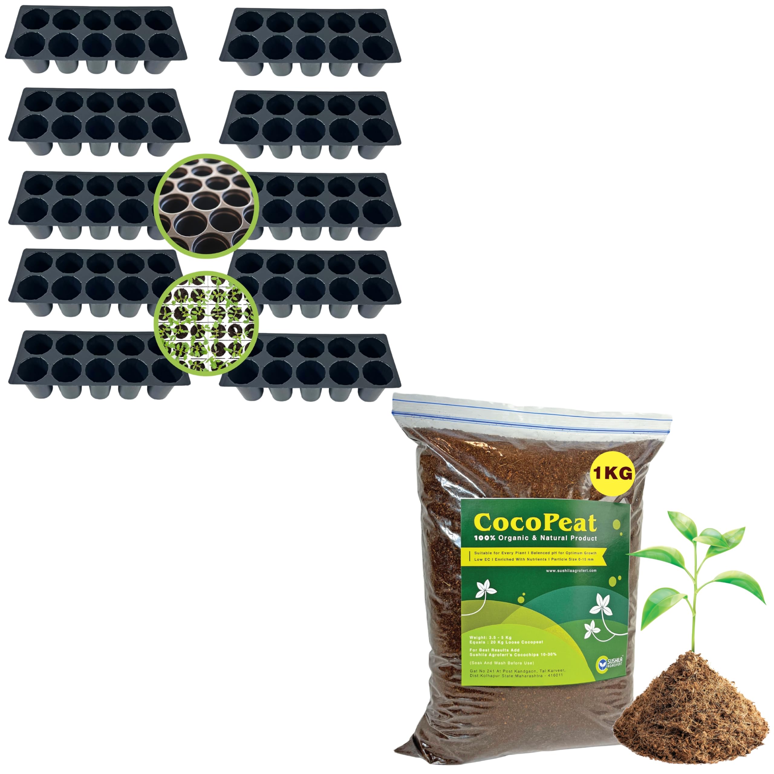 SUSHILA AGROFERT Plastic 10 Cavity Big Size Seed Germination Tray... Black Cocopeat with Vermicompost Added for Plants, 1Kg Ready to Use-picture-21