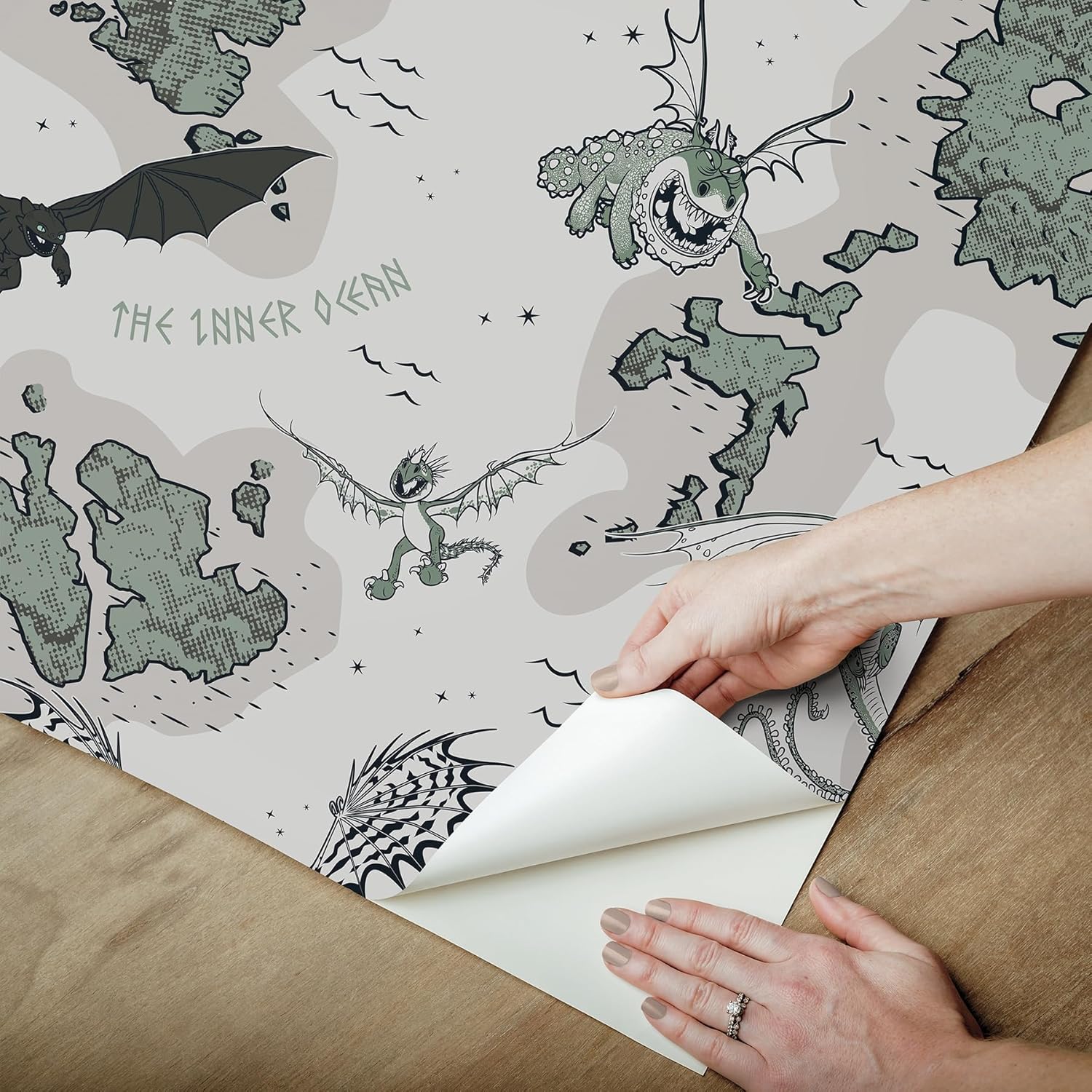 How to Train Your Dragon Isle of Berk Grey Peel and Stick Wallpaper, RMWS1301