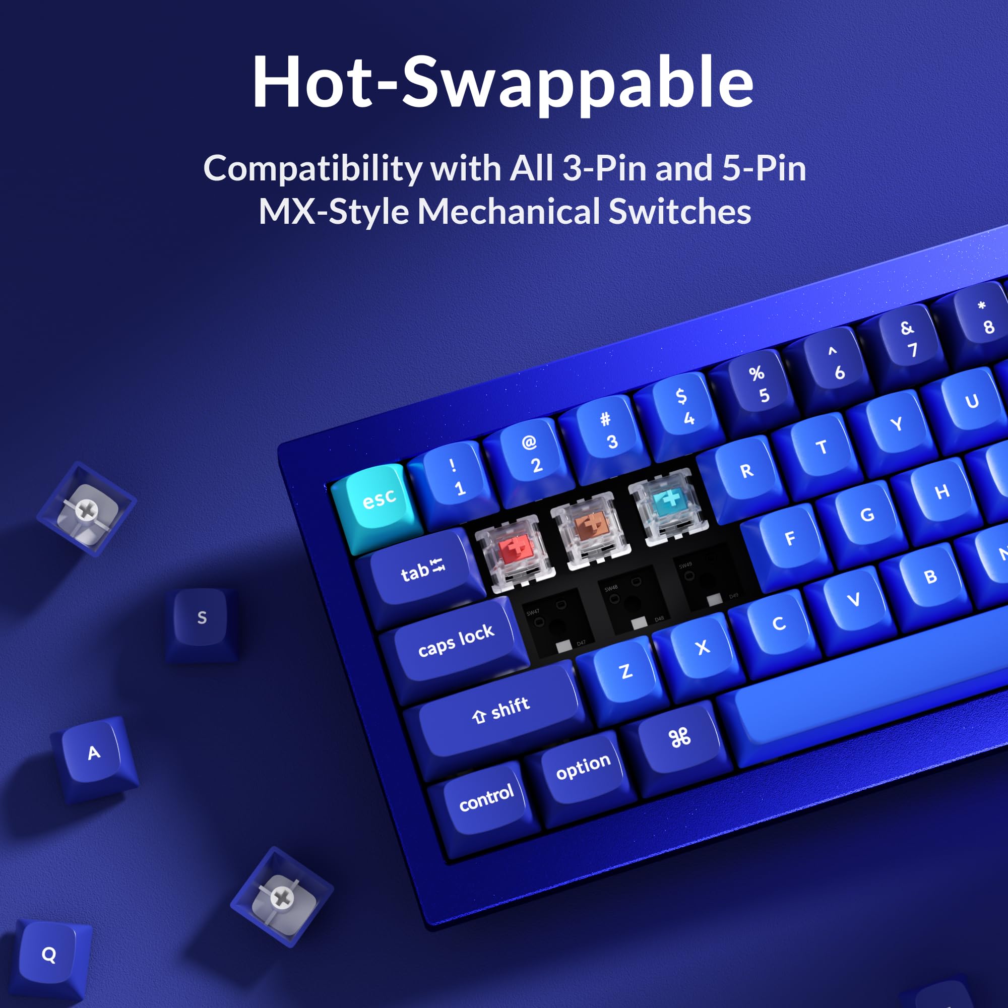 Amazon.com: Keychron Q4 Wired Custom Mechanical Keyboard, 60 