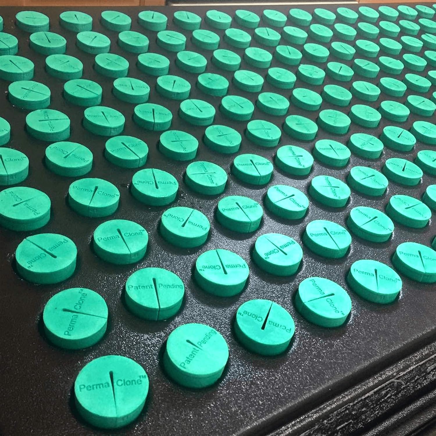 Cloning Collars 1.8" (46mm) - Lasts 5+ Years, Eco-Friendly, Sterilizable and Easy to Microwave Clean Hydroponic Foam Collar Inserts - 20 Pack