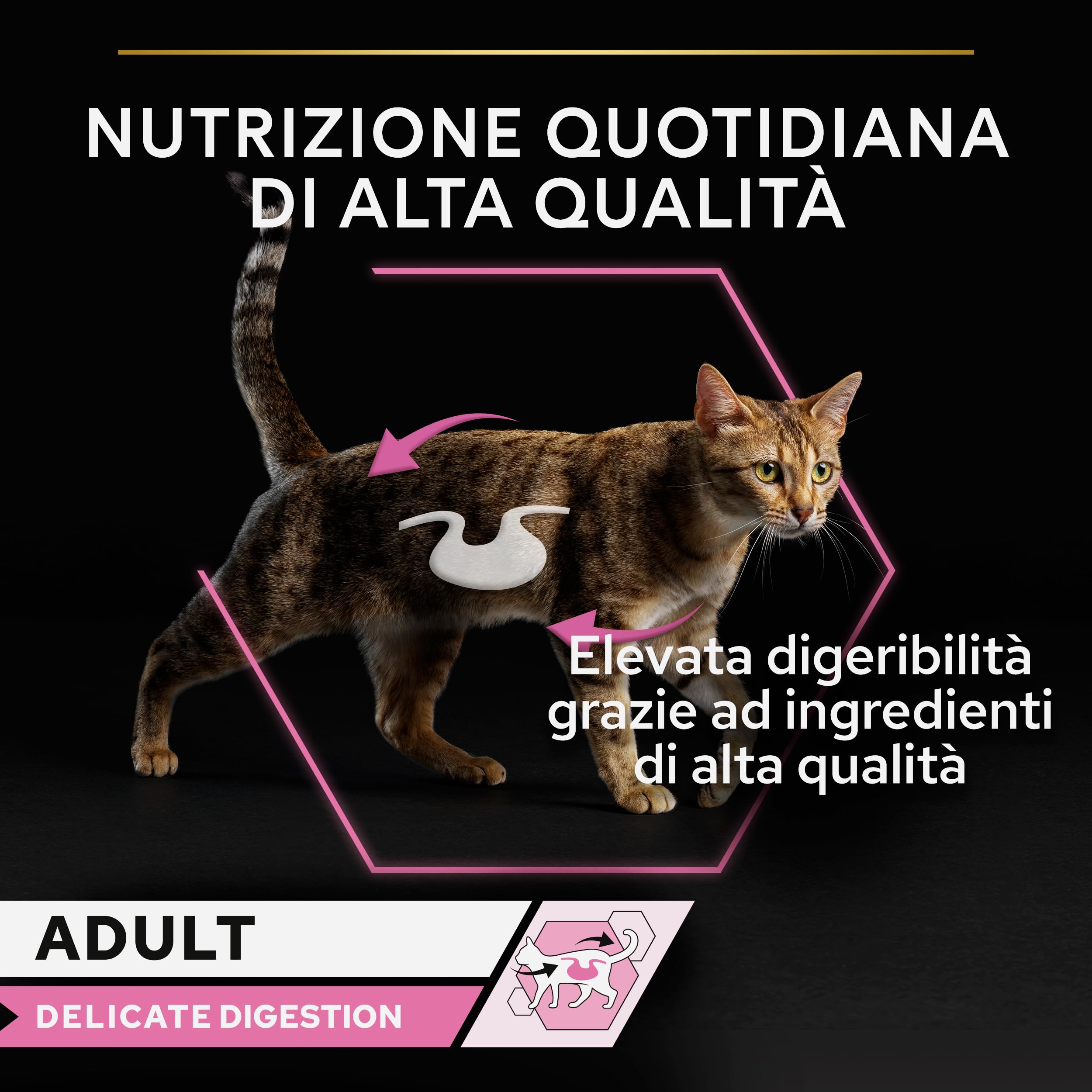 Purina Pro Plan Delicate Digestion Cibo Umido per Gatti Adulti Pezzettini in Salsa Tacchino, 40 Bustine da 85g