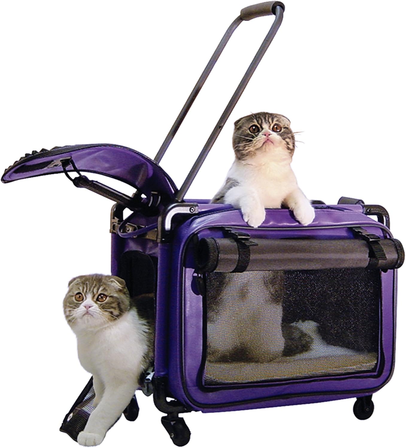 Tutto Medium Pet on Wheels Stroller, 20Inch, Purple