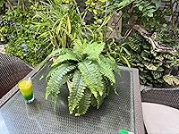 Review Image by Vincent Vincent