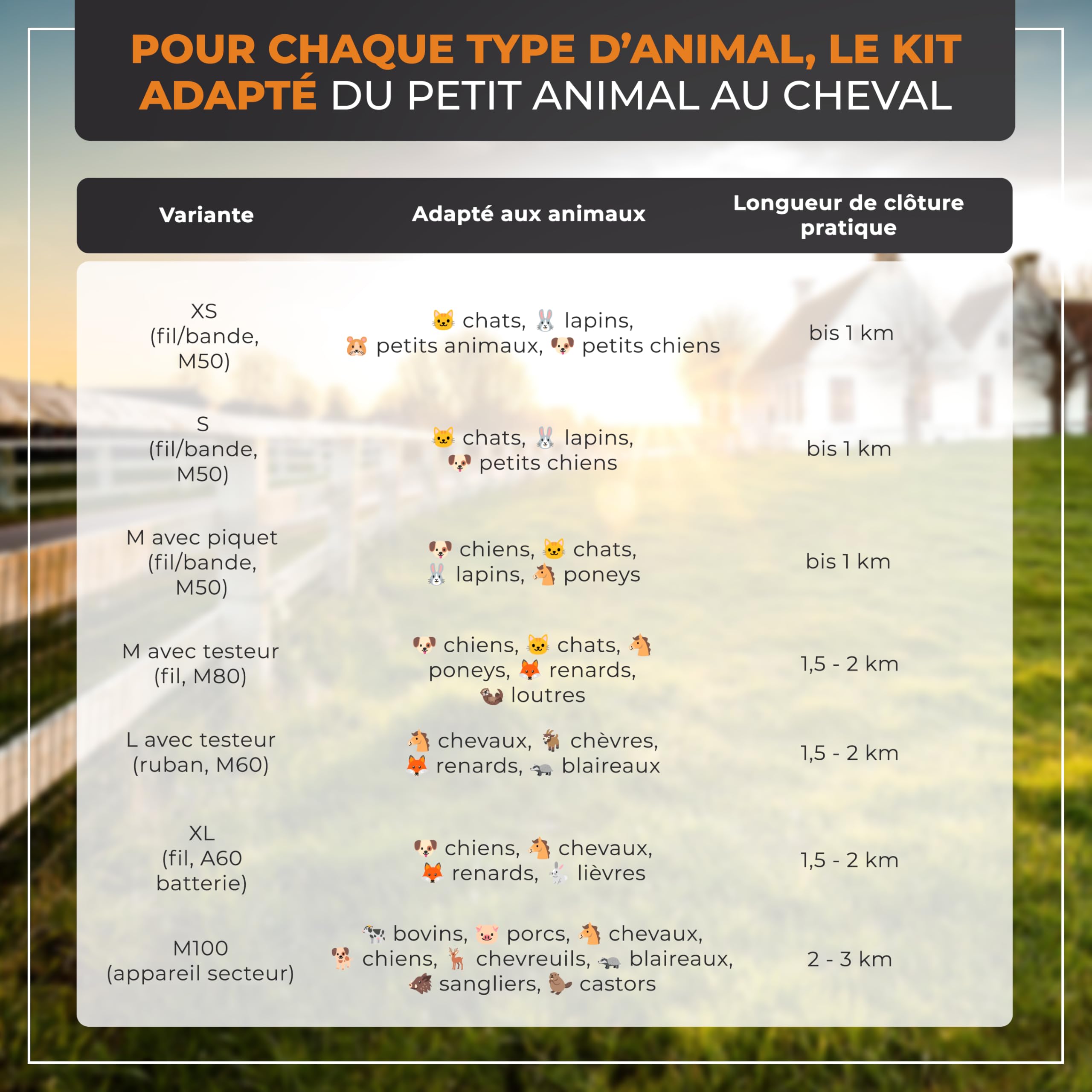 Kit de démarrage clôture électrique M – Électrificateur puissant avec ruban 200 m, 10 piquets, isolateurs à anneau & mise à la terre – Kit complet pour chiens, chats & petits animaux