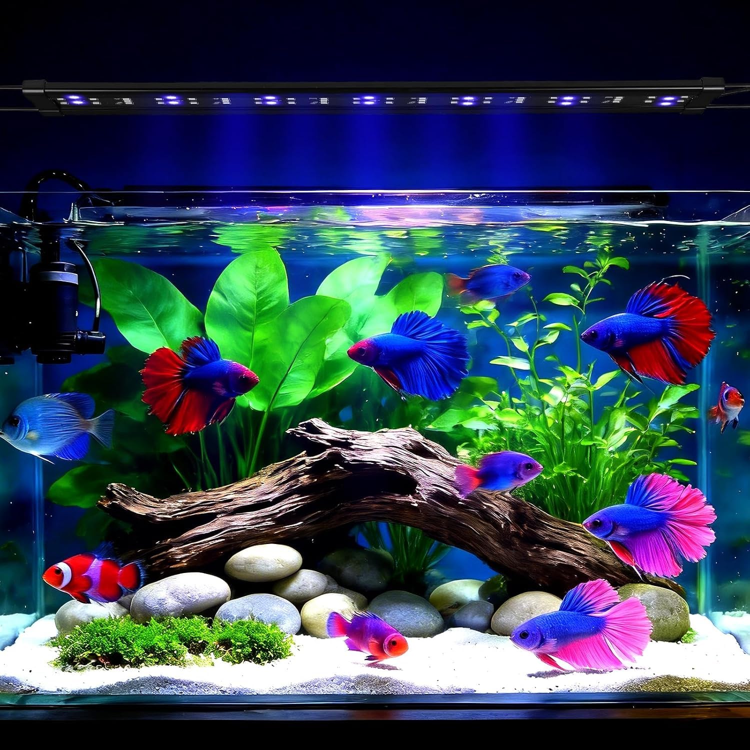 Éclairage LED pour aquarium,48 W Spectre complet Mode 24/7 Minuterie réglable Luminosité réglable Lampe pour aquarium Avec support extensible Les chars de 120 à 140 cm
