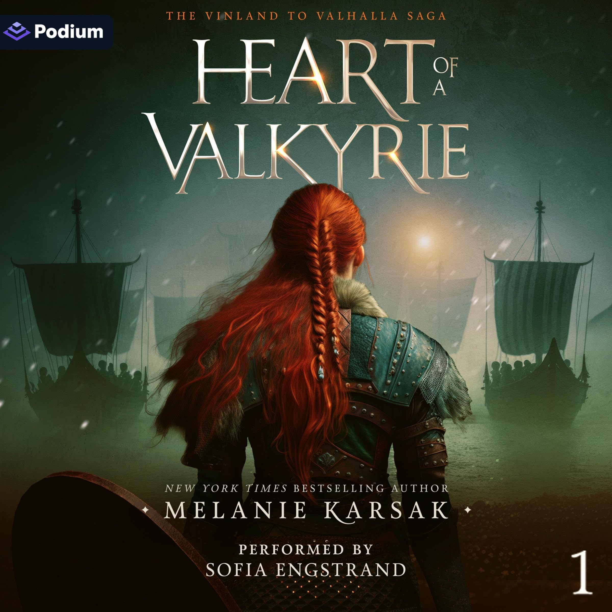 Cover art for Heart of a Valkyrie