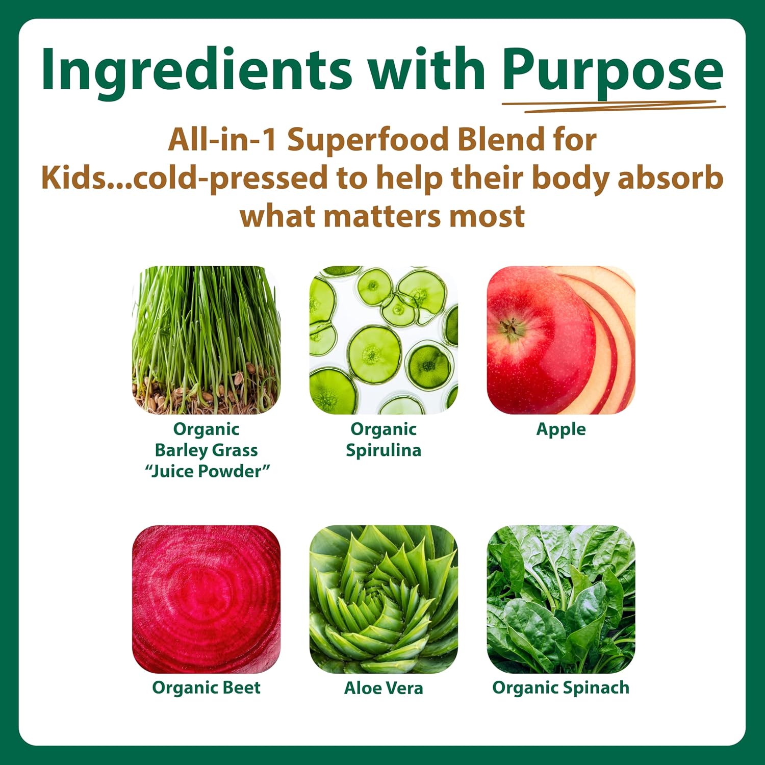 MacroLife Naturals Macrococo Greens Kids Superfood Powder, Chocolate, 7oz image 2