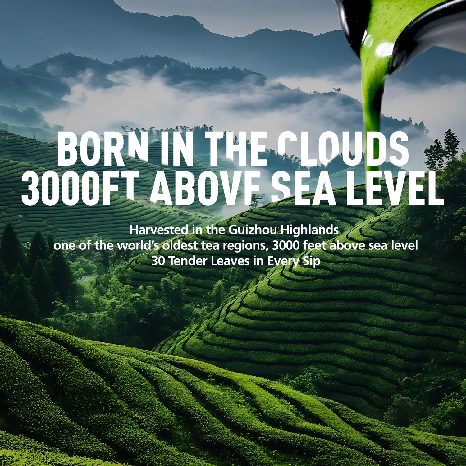 Emerail Ceremonial Grade Matcha Green Tea Powder Premium First Harvest Unsweetened 100 Pure Matcha for Lattes Smoothies and — view 2