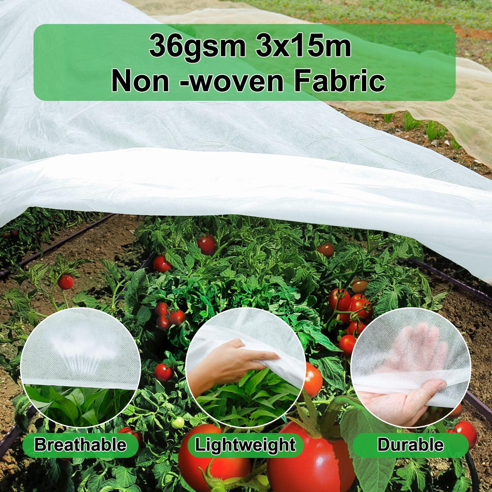 View 3