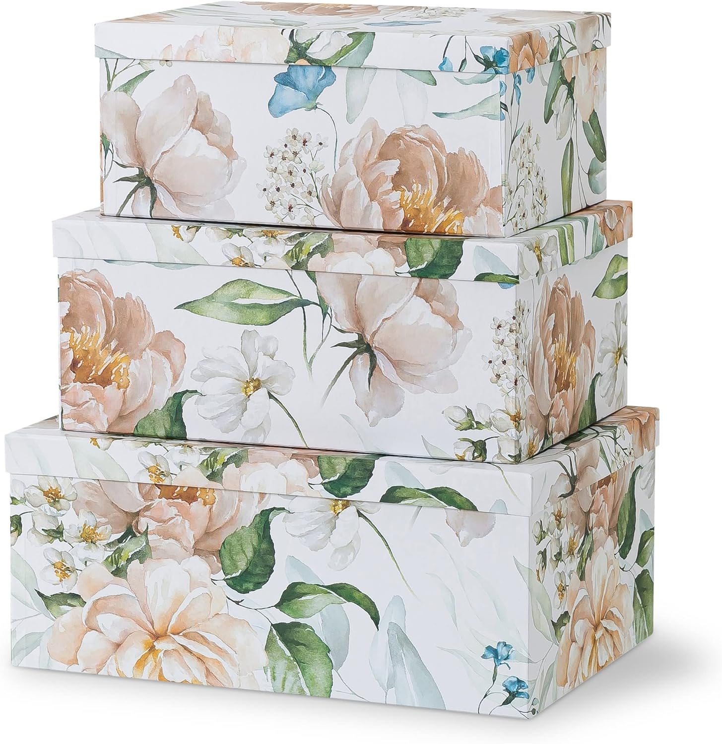Soul & Lane Decorative Cardboard Boxes For Home Décor