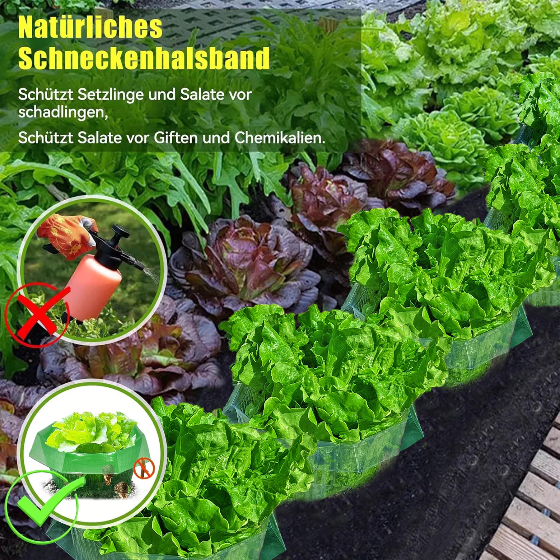 Colliers Anti-Limaces et Escargots, Anneaux Anti Limaces Efficaces, Protection Plantes Contre Escargots, 20 Pièces