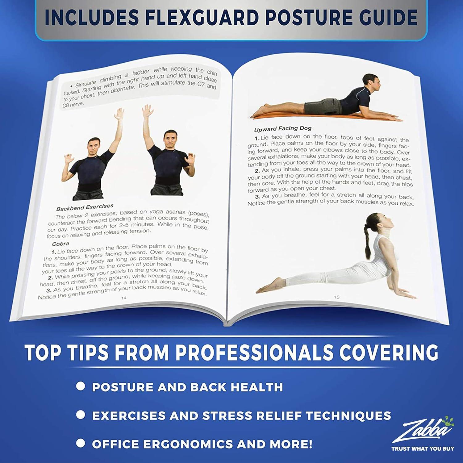 flexguard back support