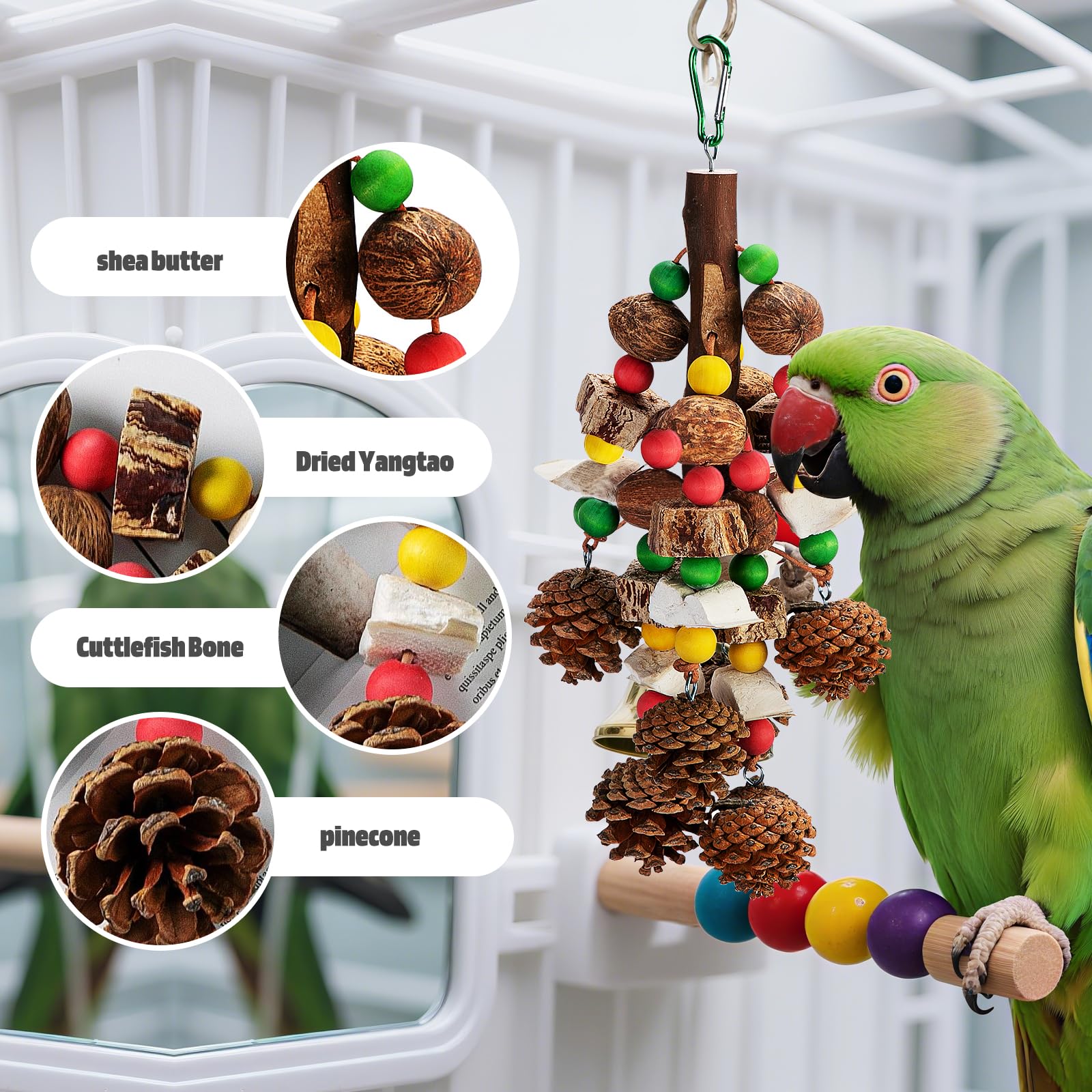 Newsmy Parrot Chewing Toys, Nuts Parrot Toys Supplement Calcium, Containing Natural Materials, Cuttlefish Bone - Image 3