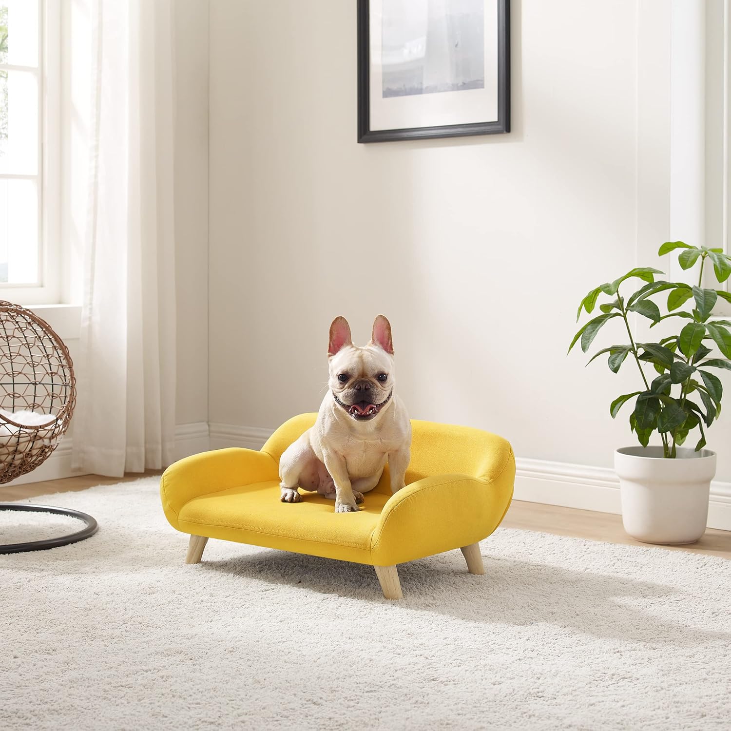 Sam's Pets Akkeri 28.5" Pet Couch, Yellow - Elevated Sofa Chair, Linen Fabric, Cozy Warm, Water-Resistant, Multi-Use, Furniture Style, Sturdy Wood Legs