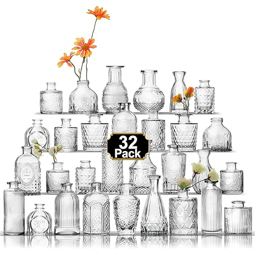 Aheroi 32 Pcs Bud Vase Set, Clear Vases for Centerpieces, Cute Glass Bud Vases Small Vases for Flowers, Mini Vase Flower Vase Set for Wedding Decorations, Glass Vases for Room Office Table Decor