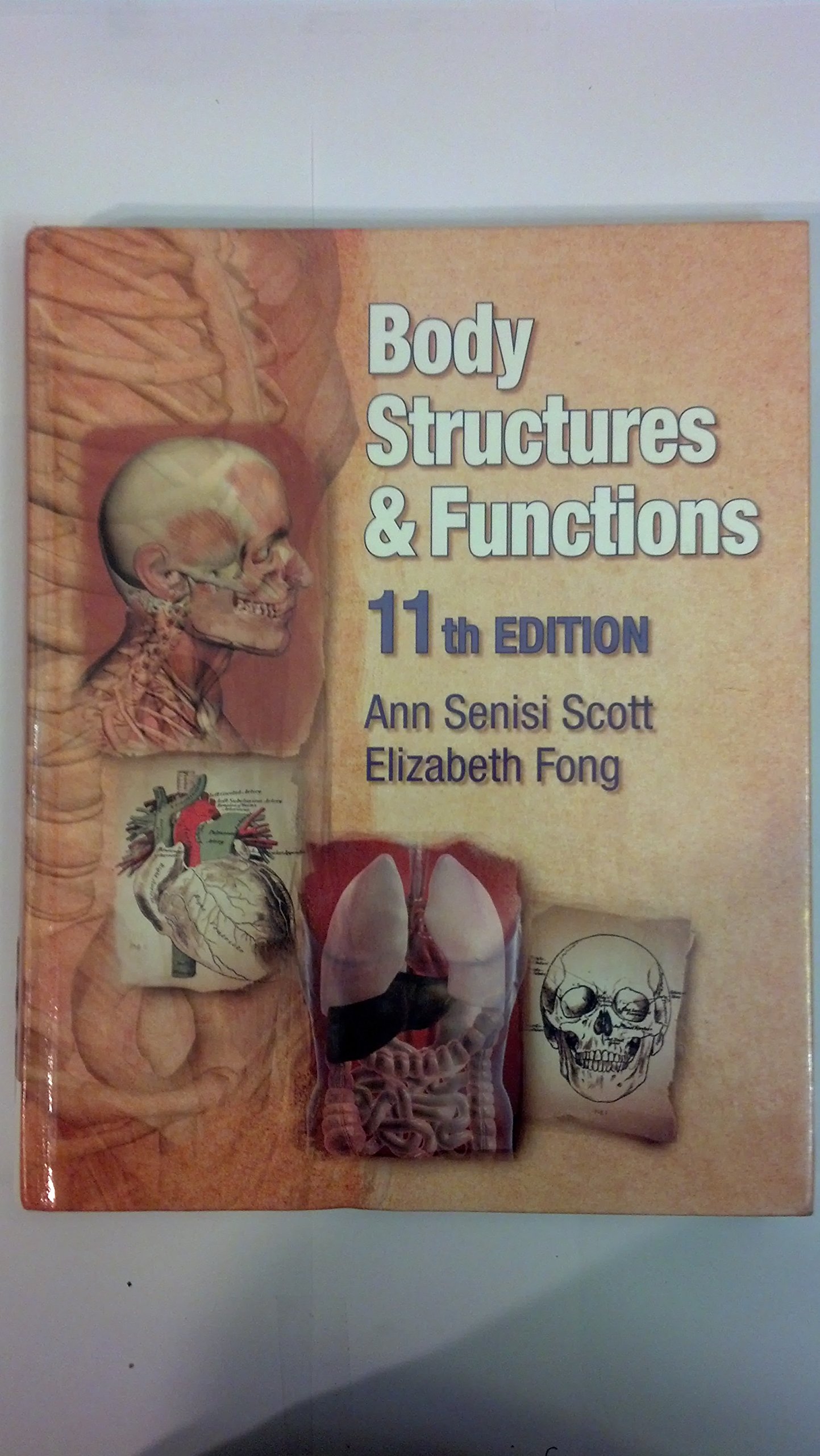 Amazon | Body Structures and Functions | Scott, Ann Senisi, Fong
