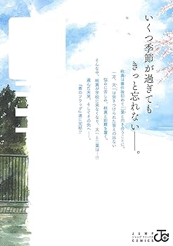 青本 adidas ZX Torsion Bright Cyan for Sale | Authenticity