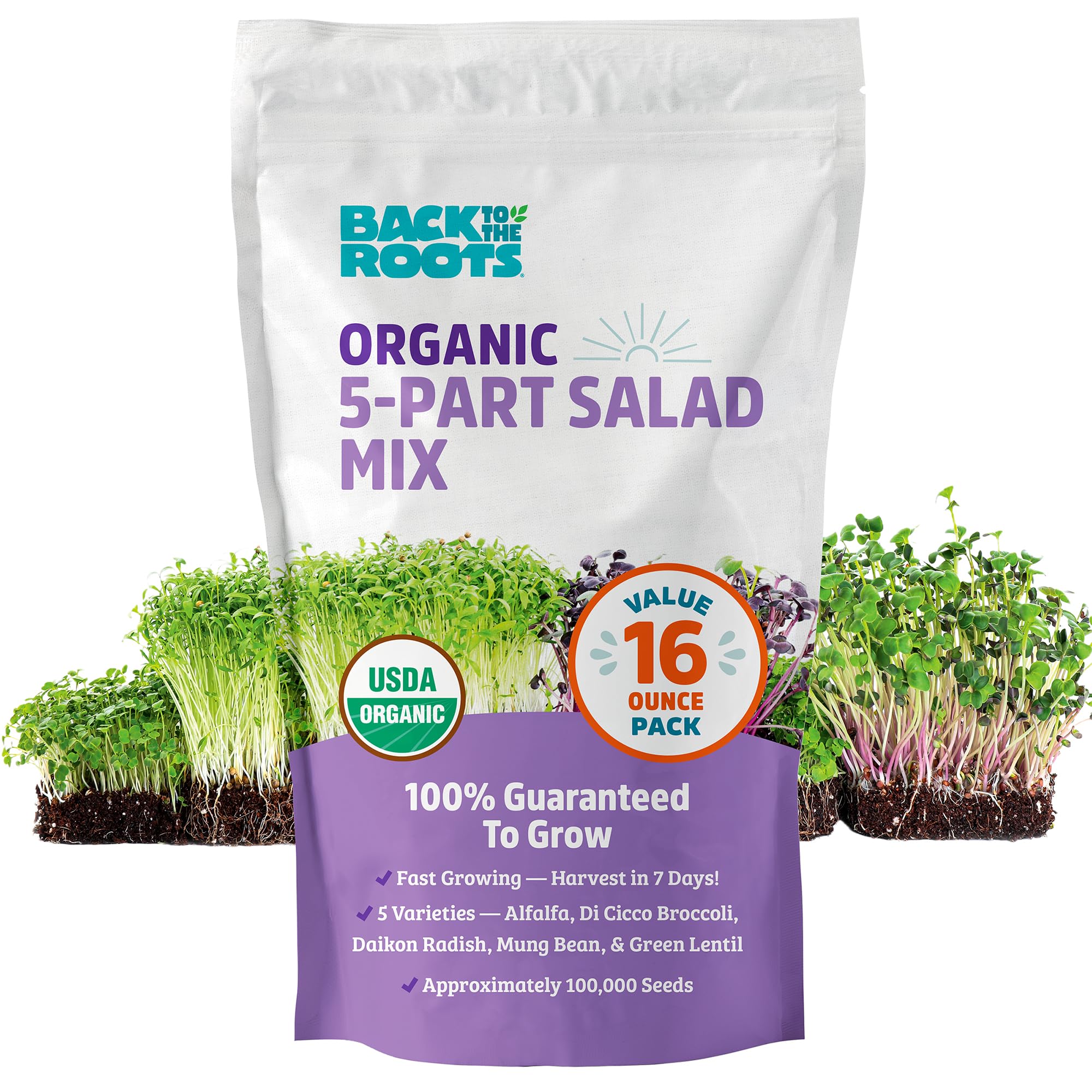 Back to the Roots Organic Salad Seeds