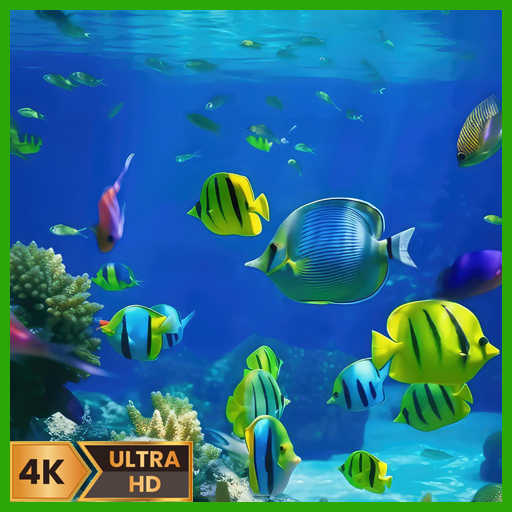 Dream Aquarium – Relaxing Fish Tank & Ocean TV Screensaver