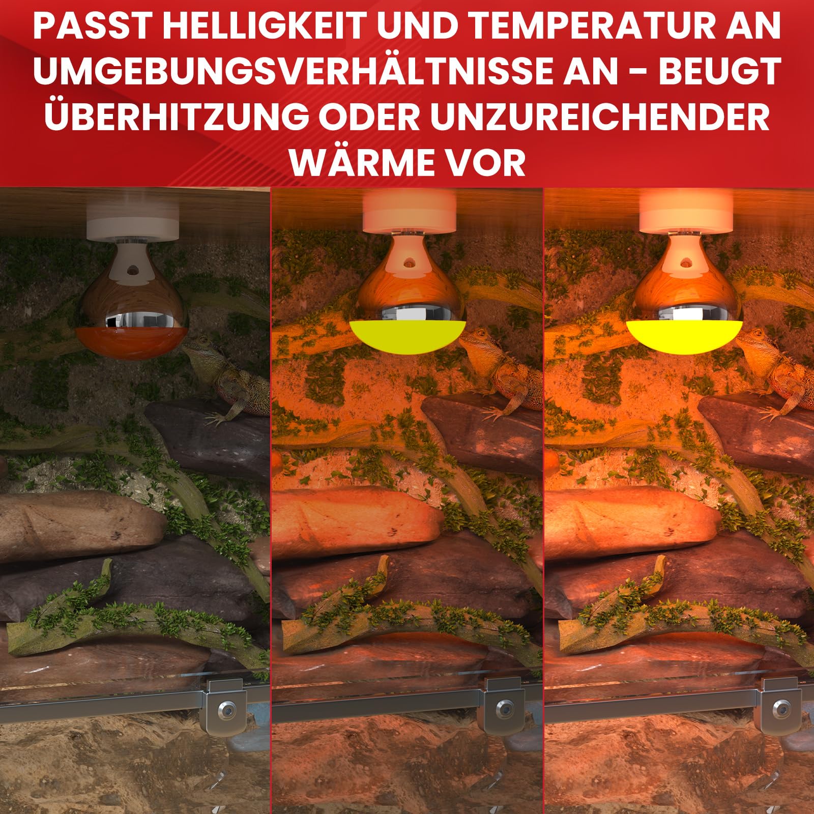 GlowUp R125 E27 Infrarotlampe, 250W Dimmbar Infrarot Wärmelampe Reflektor Rotlichtlampe Wärmelampe für Küken, Schildkröten, Schweinestall (2 Stück)