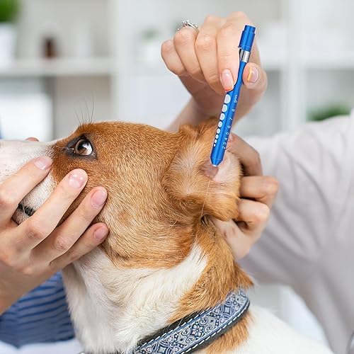 Miniatura 7 de Linterna para enfermeras, linterna LED reutilizable con medidor de pupila, luz para enfermeras, estudiantes, médicos con clip de bolsillo (10