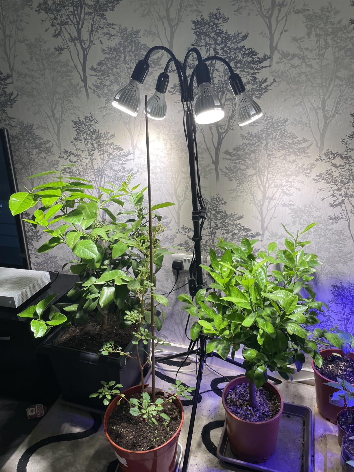 Customer photo