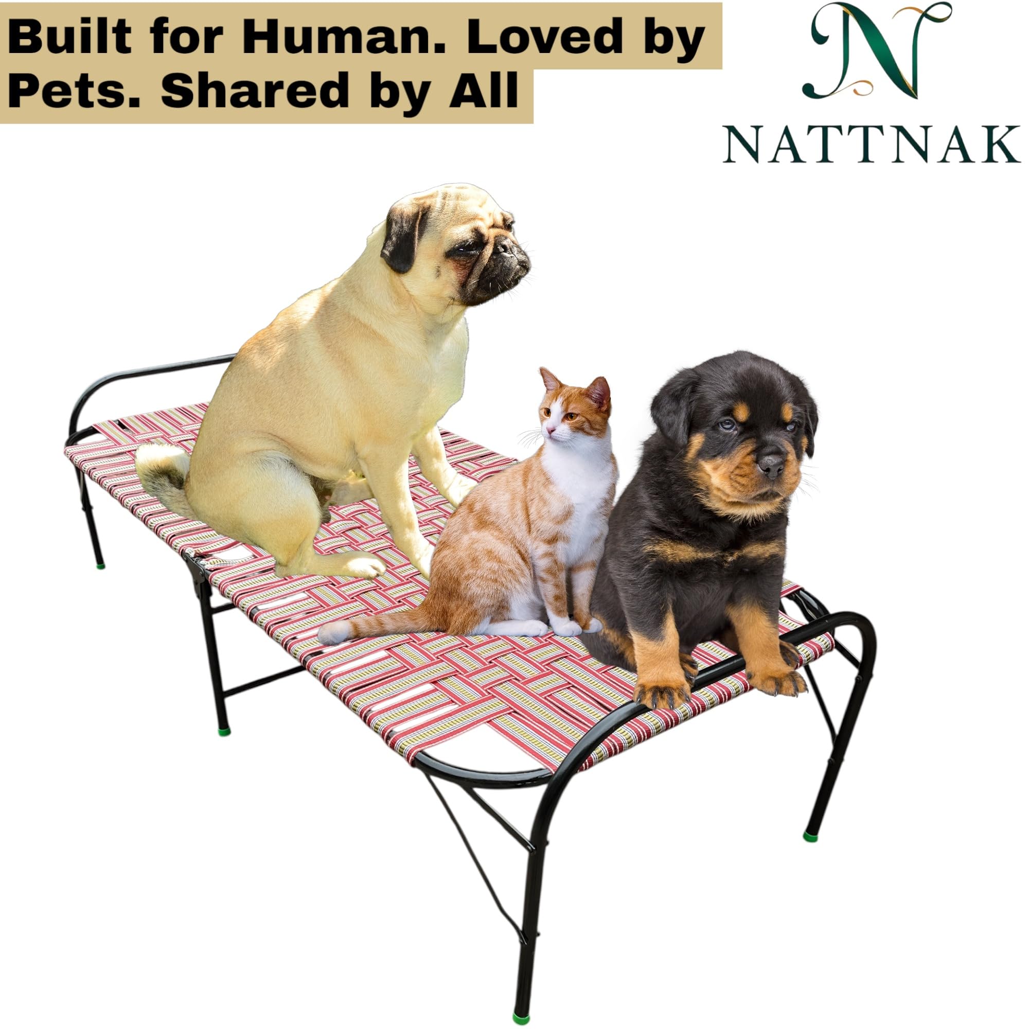 NATTNAK StrongFold Folding Bed 36x72 Inch – Portable Single Bed with Heavy Duty Iron Frame & Nylon Strips – Space Saving Cot for Home, Hostel, Guest Room – Ready to Use (Classic) 3