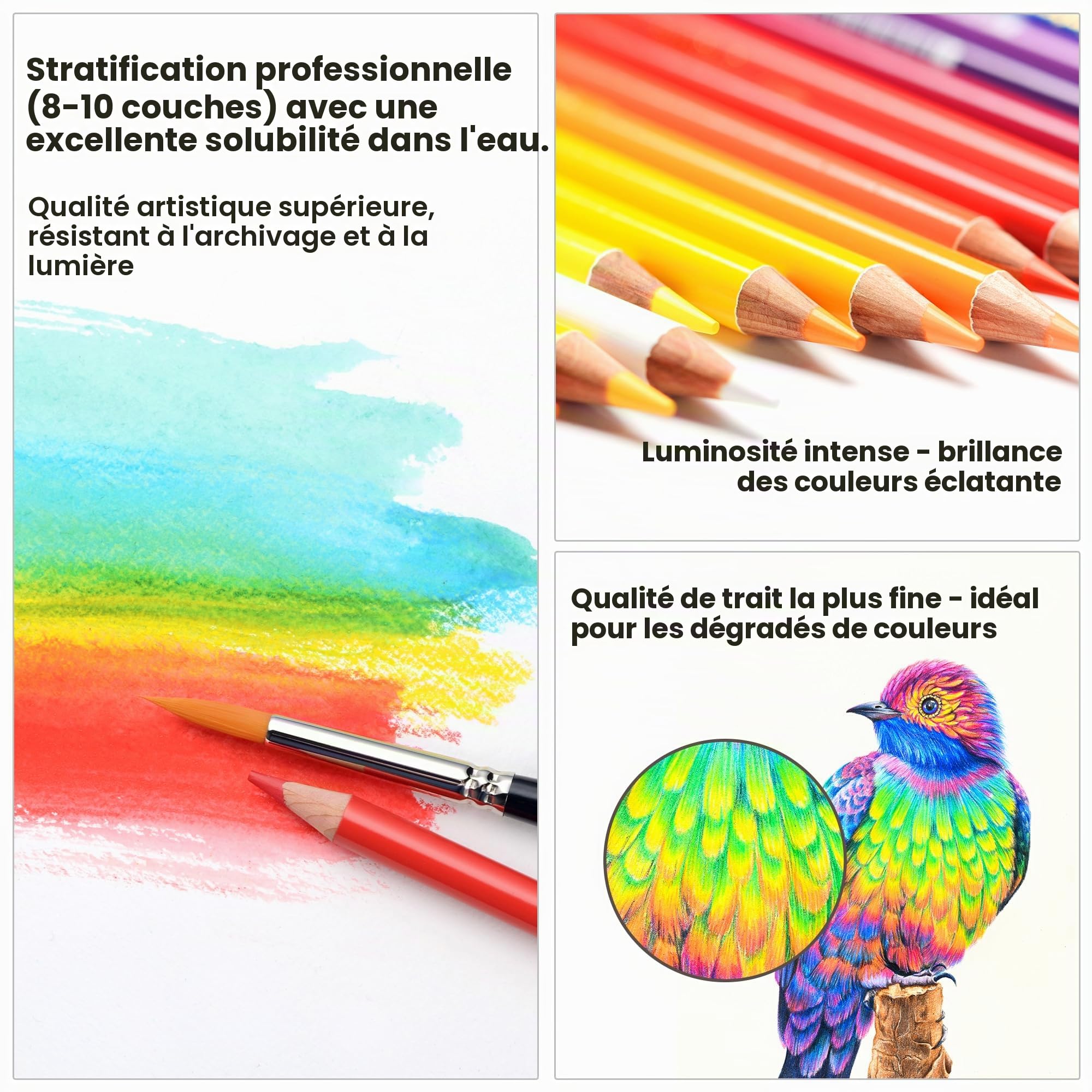 MARCO Crayons de Couleur pour Adultes à Colorier (à base d'huile, 60 couleurs)