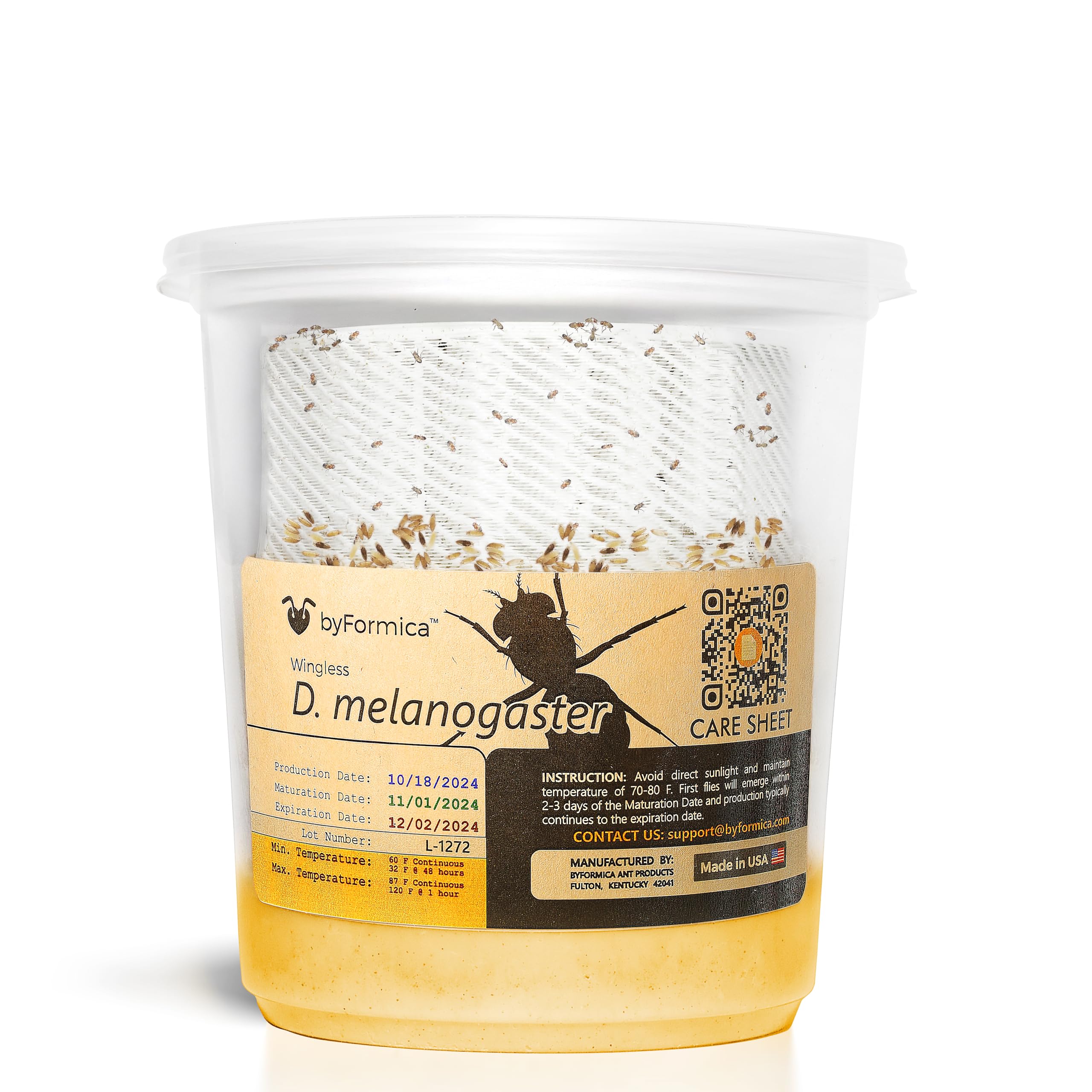 byFormica Live Wingless Drosophila melanogaster Fruit Fly Culture with NutriDense SuperFood Blend (Producing, 24 oz. Cup (MaxYield))