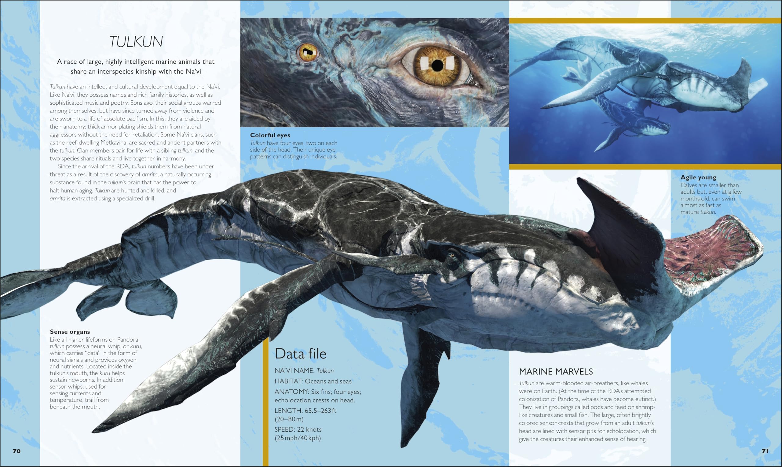 The World of Avatar Updated Edition