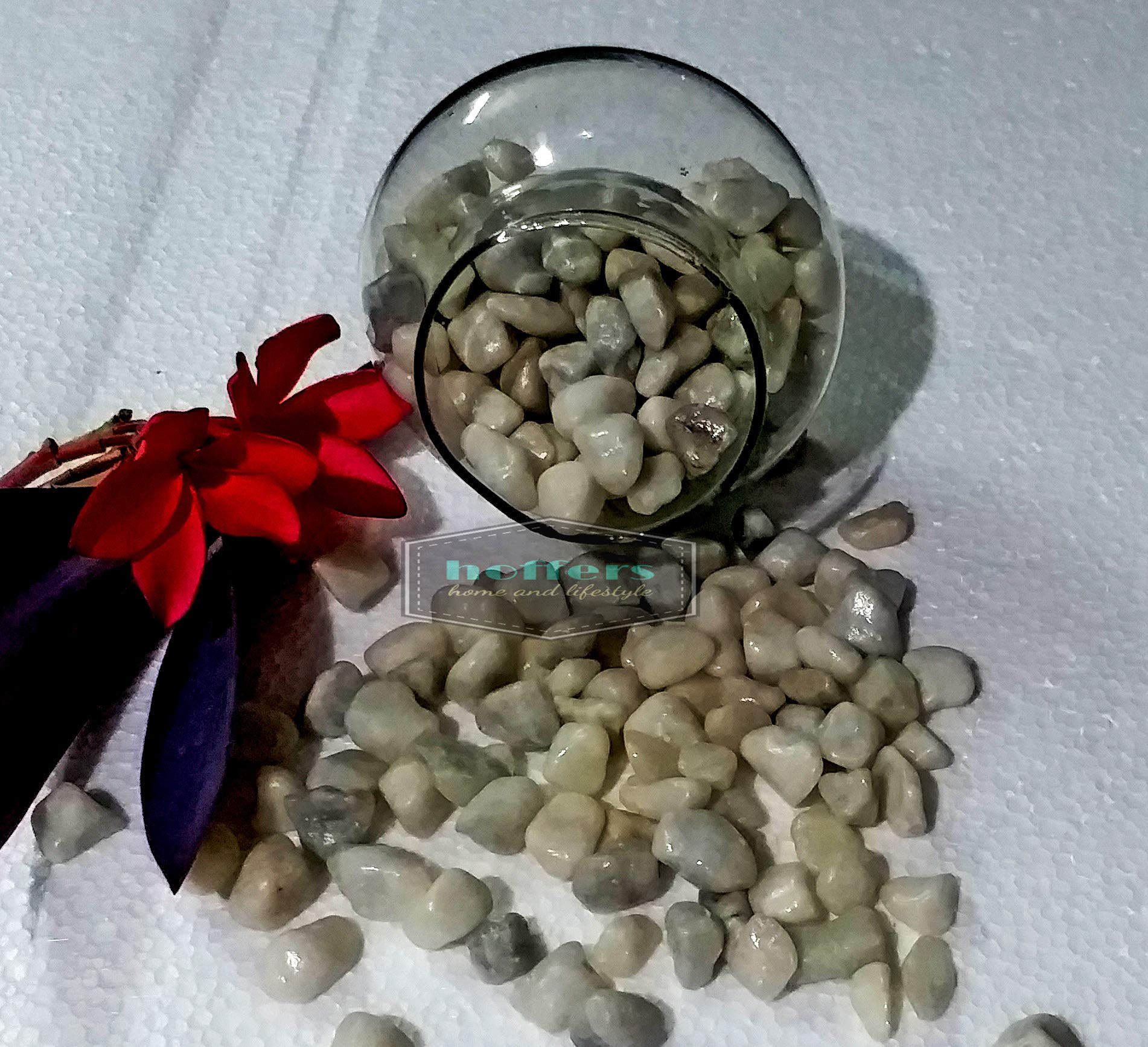 See full amazon price history chart for Weldecor Pebbles for Aquarium | Shiny Stone Pebbles for Vase Fillers Outdoor/Indoor | Garden Decoration | Polished Pebbles Pebbles for Garden Pots & Multi Purpose Pack Weldecor Pebbles for Aquarium | Shiny Stone Pebbles for Vase Fillers Outdoor/Indoor | Garden Decoration | Polished Pebbles Pebbles for Garden Pots & Multi Purpose Pack (B08F49NGR4) Amazon Price History, Amazon Price Tracker