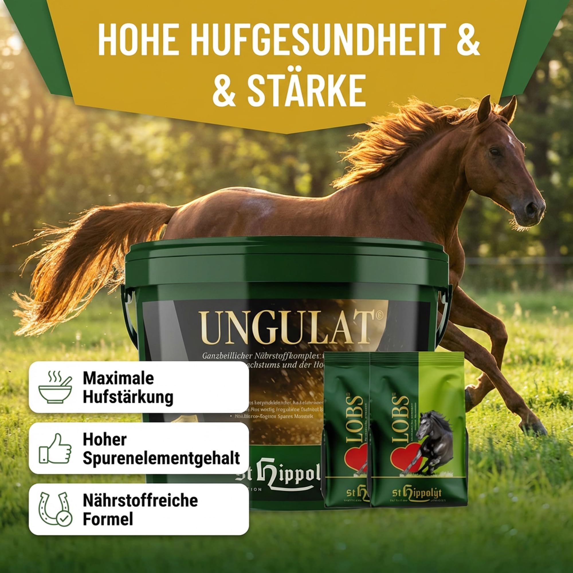 St. Hippolyt Ungulat - Cubo de recompensa (10 kg, 2 x 1 kg)