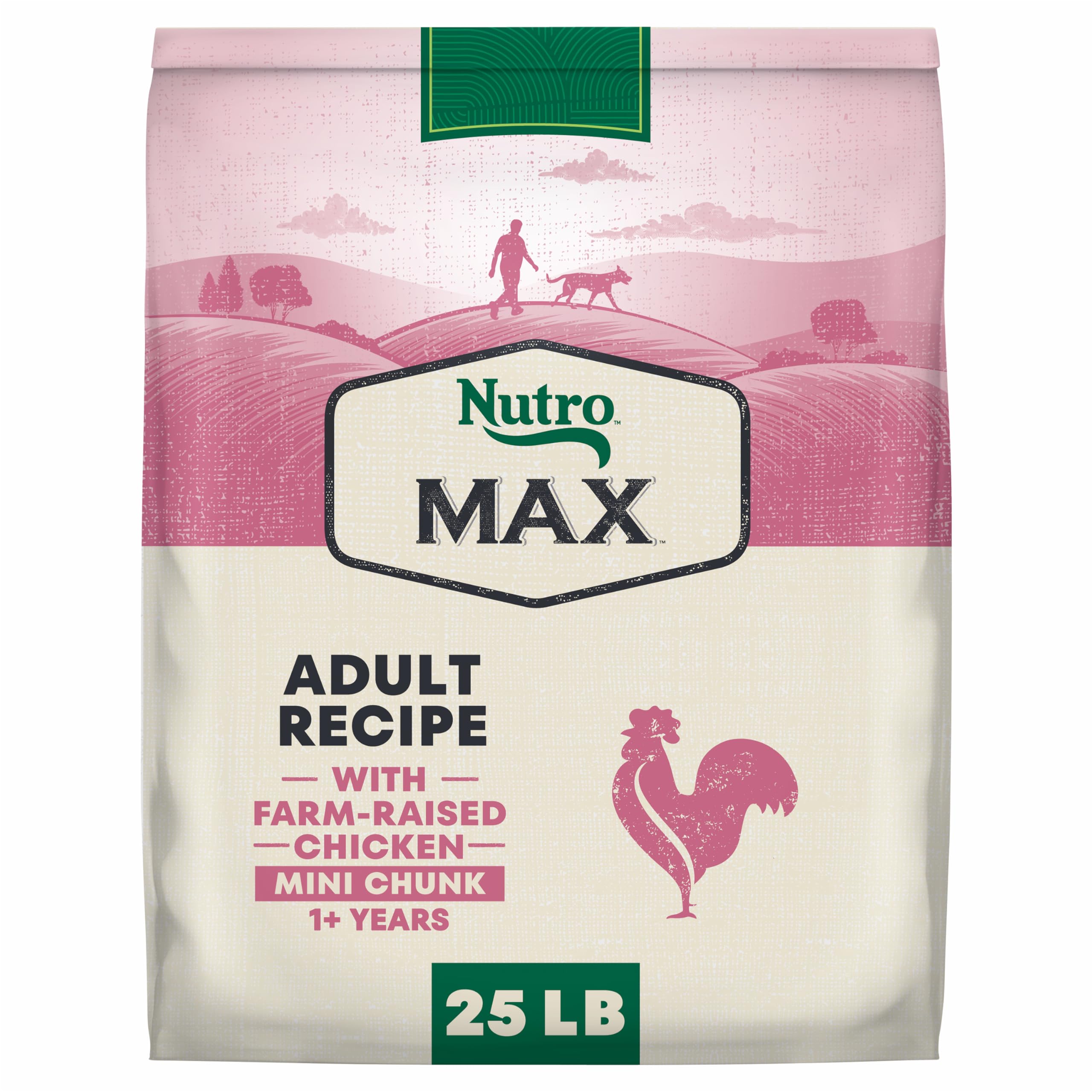 Amazon.com: Nutro Max Mini Chunk Dry Dog Food, Adult Dog Food Dry