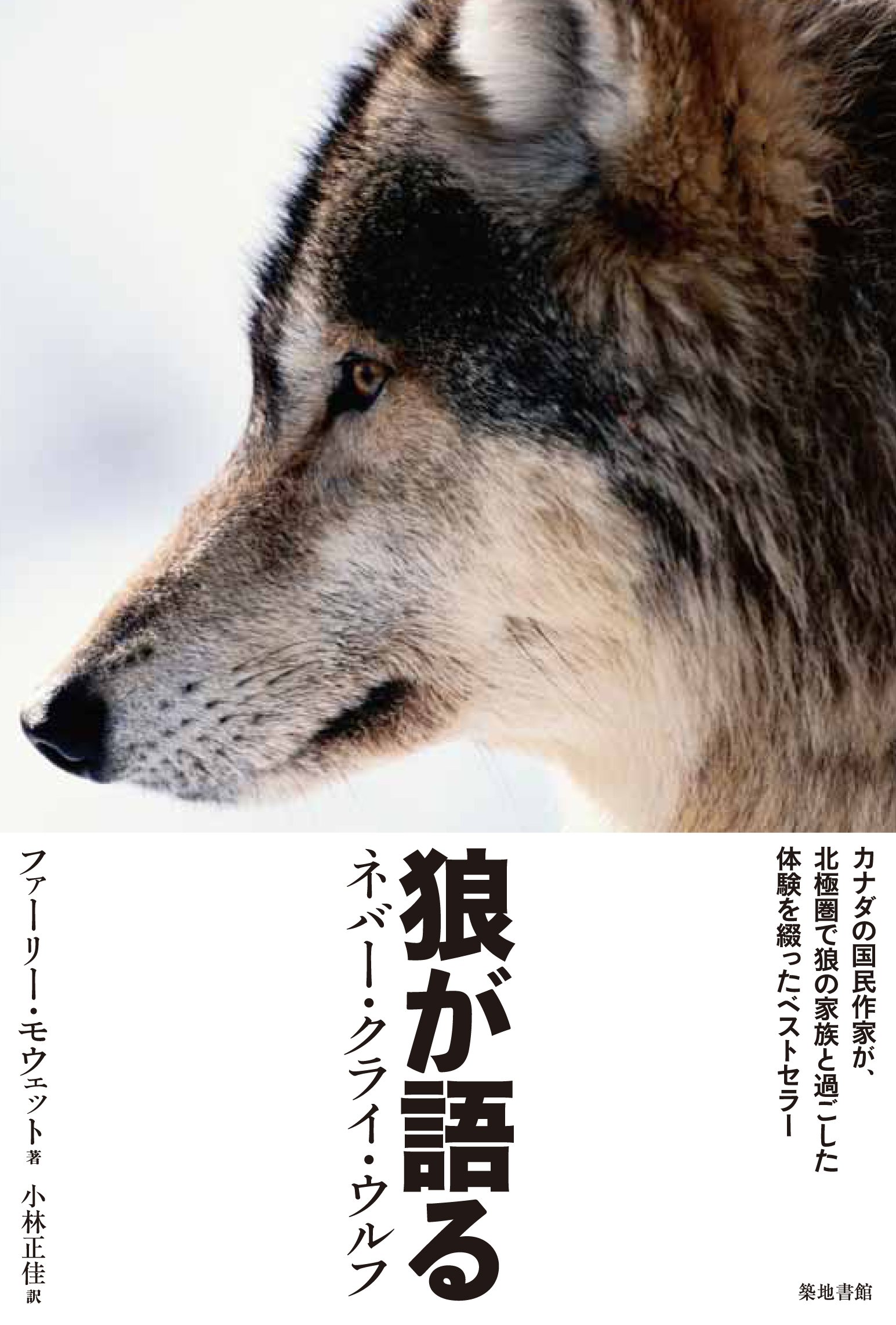 洋書◆オオカミ 写真集 本 狼 ウルフ 洋書◇オオカミ写真集 本 動物の世界 狼 ウルフ | 洋書堂