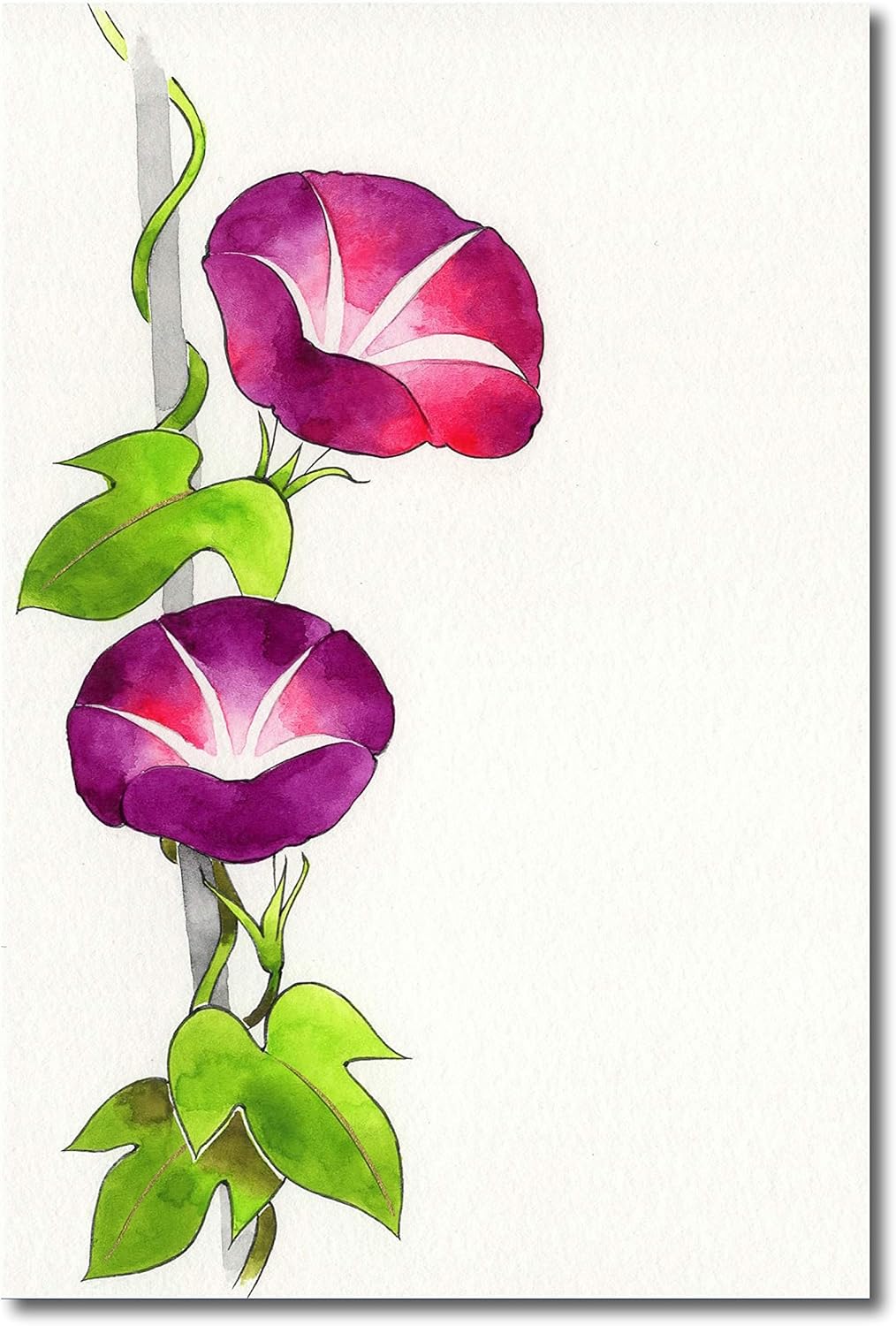 Amazon Co Jp 吉祥 日本画用絵具 顔彩パールカラー 8色セット ホビー 通販 Amazon Co Jp 吉祥 日本画用絵具 顔彩パールカラー 8色セット ホビー 通販