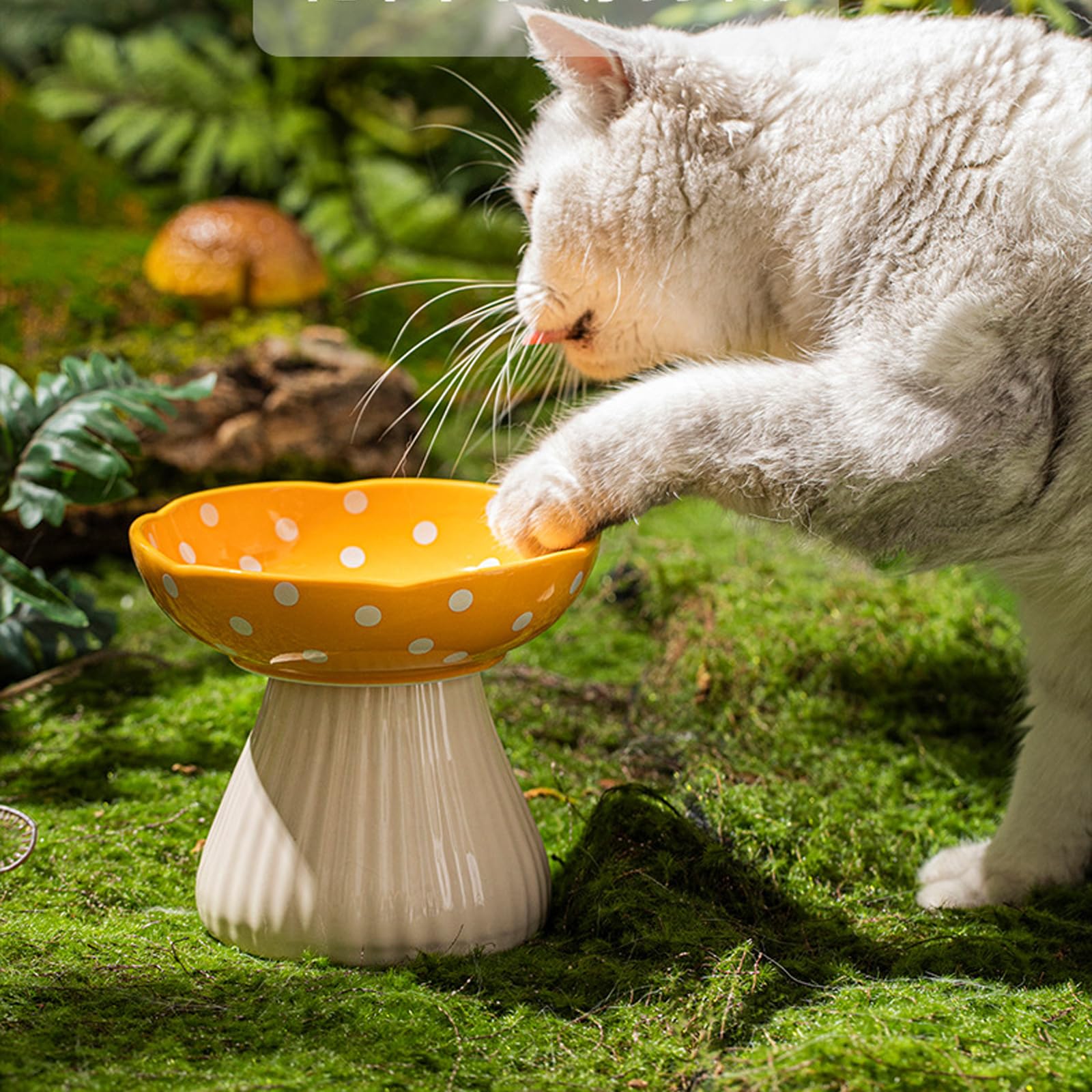 Liemuao 2 Pièces Gamelle Chat Surélevée, 300ml Gamelle Céramique en Forme de Champignons, Inclinable à 15° Bol pour Chat Anti-Vomissements Bol pour Animaux de Compagnie (Jaune+Rouge)