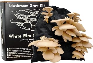 Urban Farm-It - Mushroom Growing Kit, XL White Elm Oyster (Pleurotus Ostreatus), Easy to Use and Fast Growing, Includes Voucher to Claim Living Spawn Separately for Better Yield and Gifting