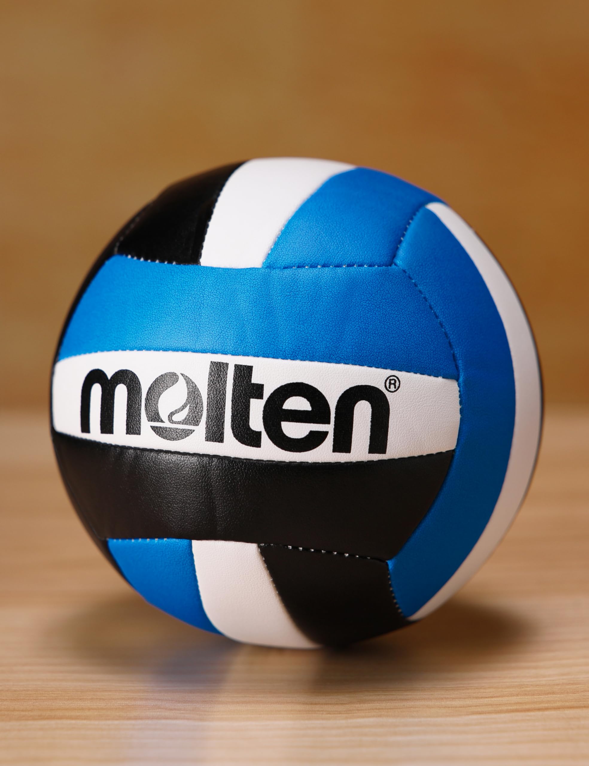 Molten Mini Volleyball