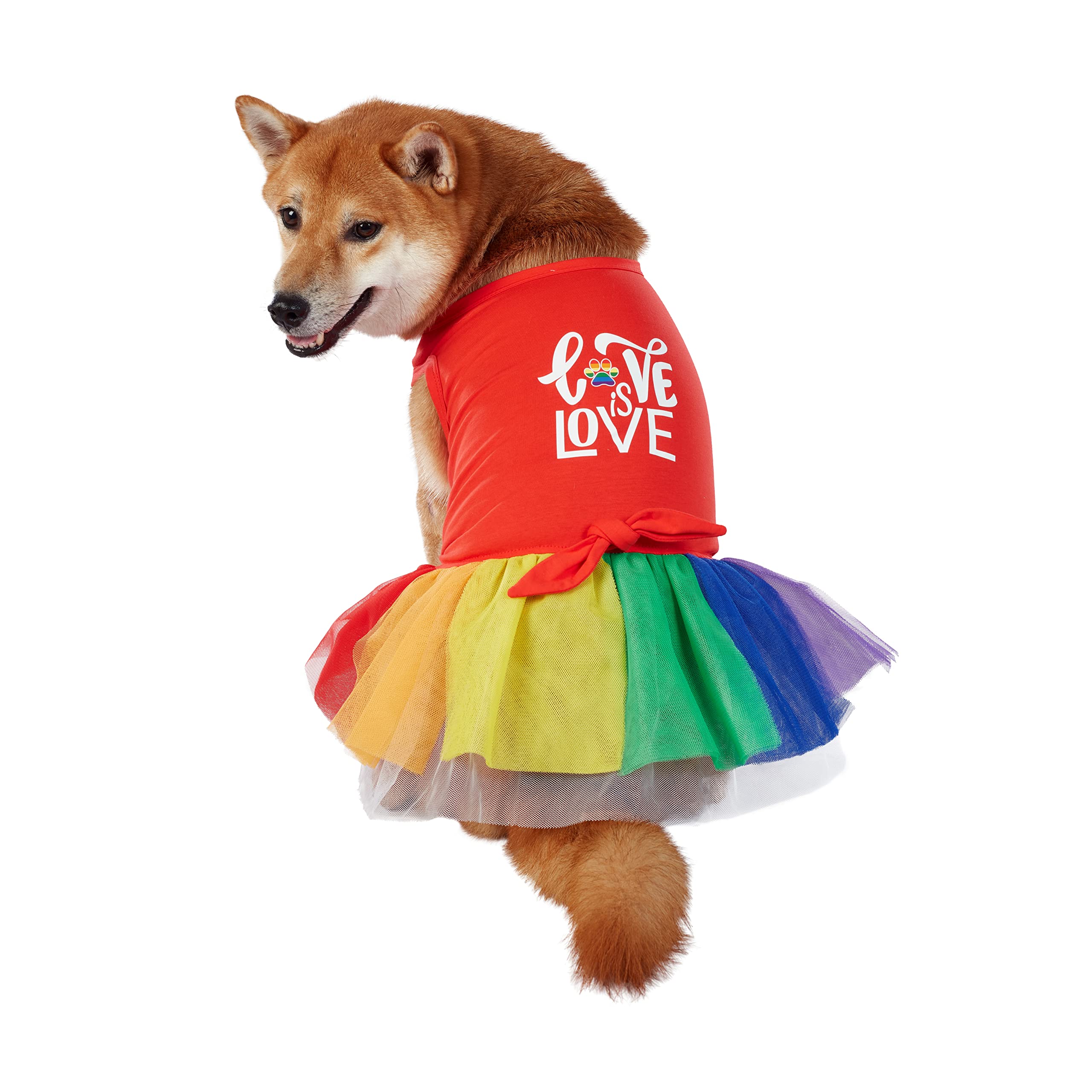 Best Furry Friends Dress for Dogs, Love is Love, Large
