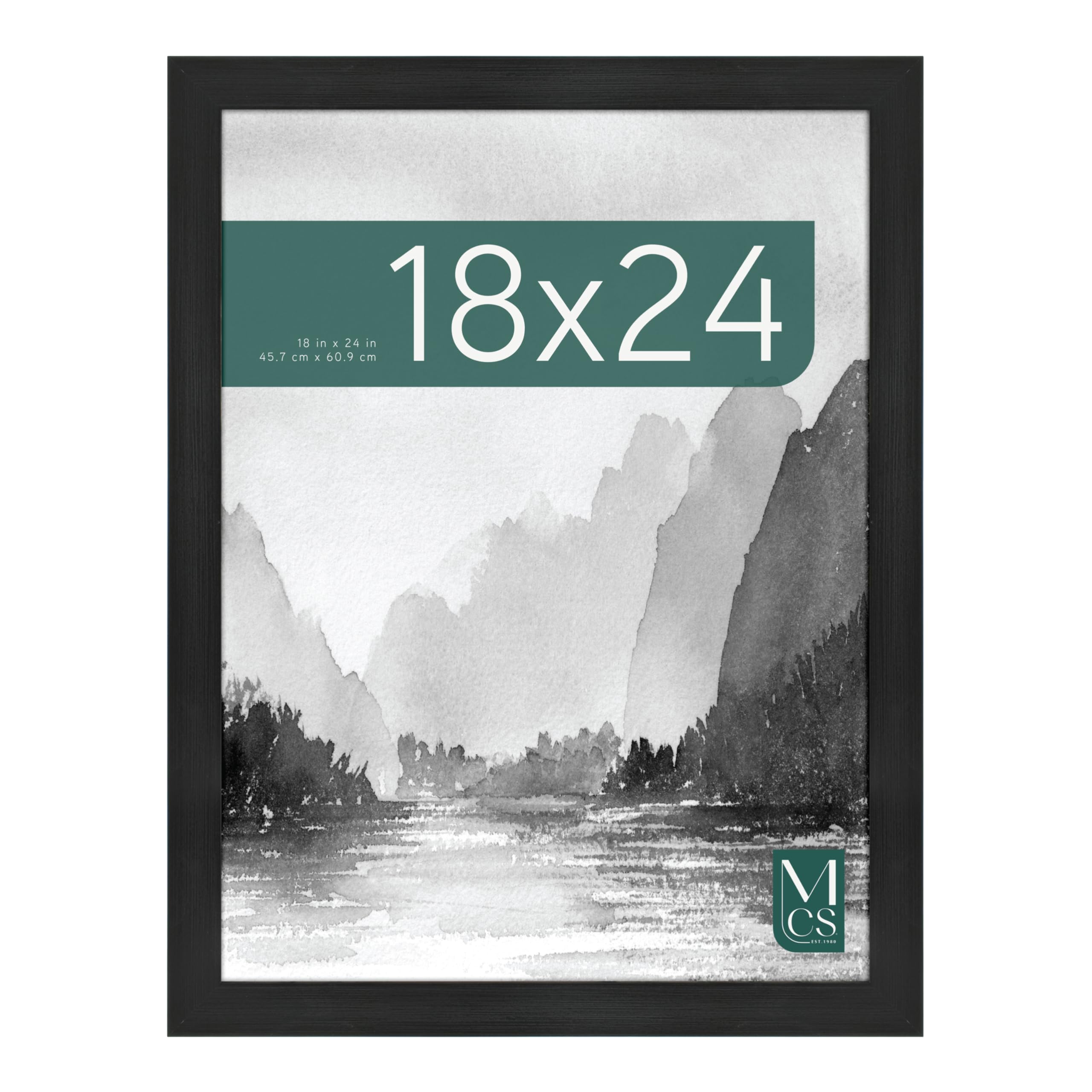 Amazon.com - MCS Museum Poster Frame 18x24 Onyx Woodgrain