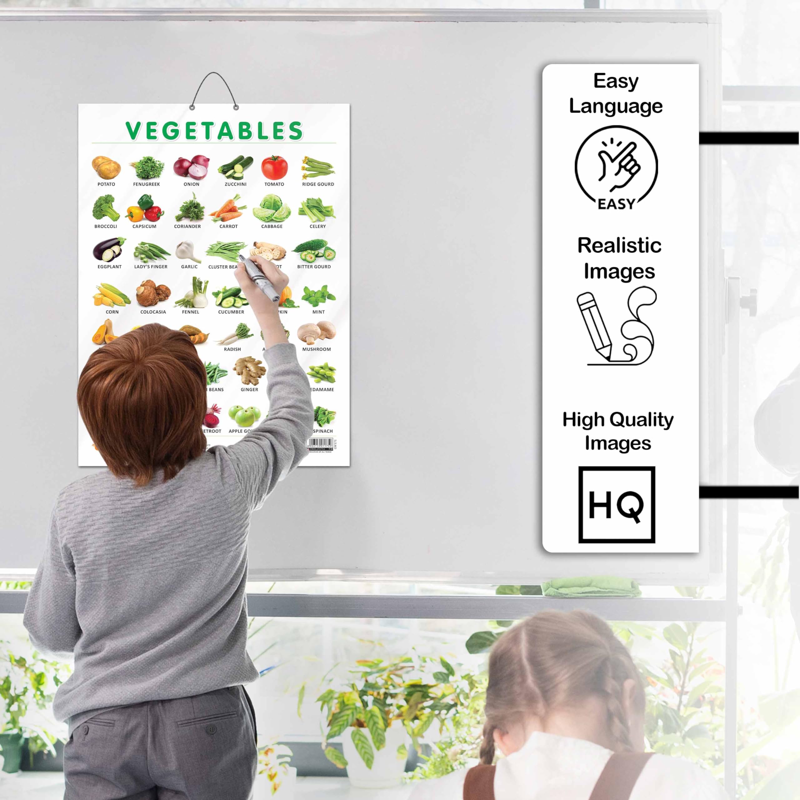 GO WOO TRANSPORT CHART GLOSS LAMINATED, VEGETABLE CHART GLOSS LAMINATED, and WILD ANIMALS CHART GLOSS LAMINATED | combo of 3 charts | Educational Trio Unveils Wonders 1